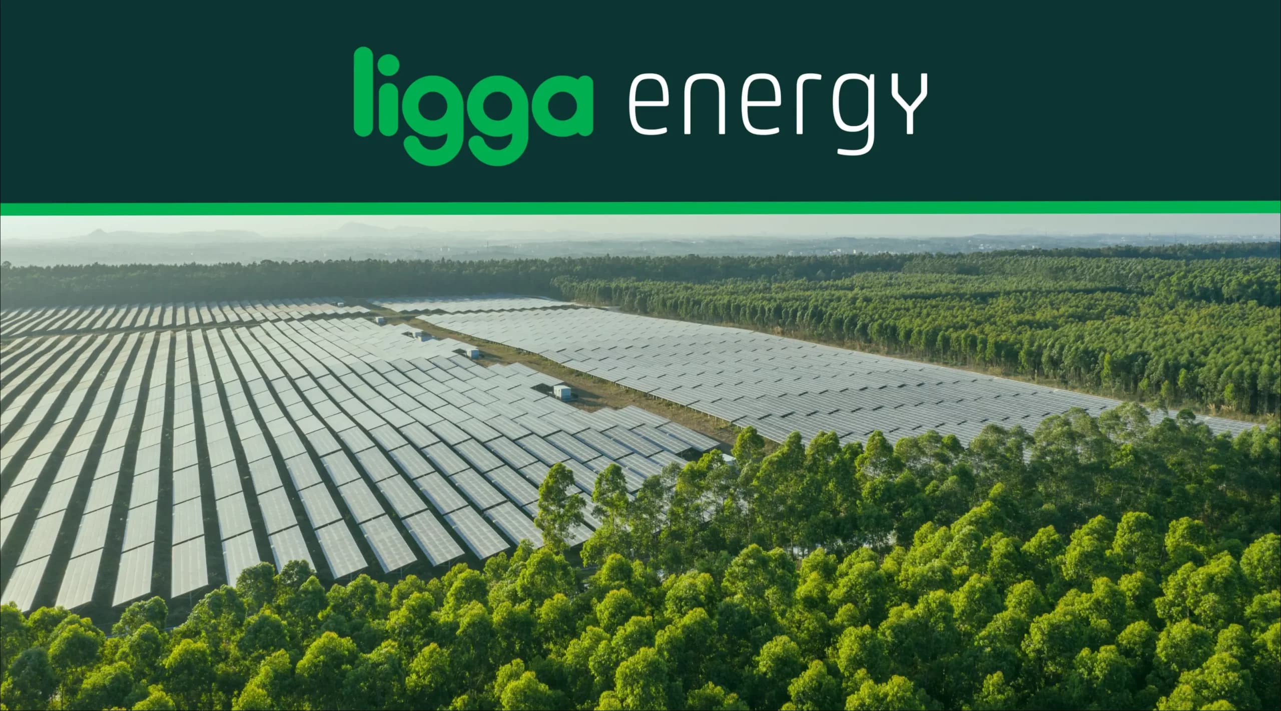 Ligga Energy: O que é e como economiza até 20% na conta de luz